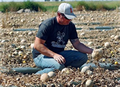 Mnet 128145 Jensen Farms