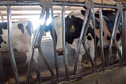 Mnet 128878 Calif Dairy