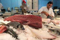Mnet 129975 Fish Discards Lead