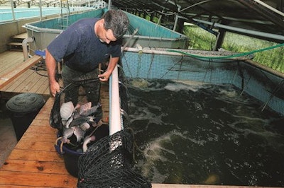 Mnet 30053 Fish Farming