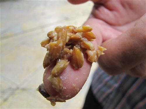 Mnet 30205 Rat