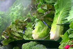 Mnet 160605 Video 177