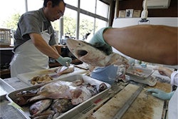 Mnet 115714 Ci9 6photo Japan Lead