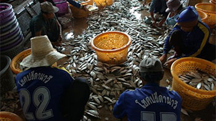 Mnet 132035 Thai Fishing Lead