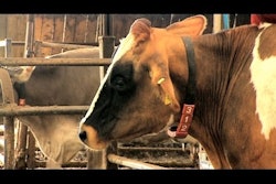 Mnet 132072 Wd H175 Ne Tv A