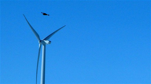 Mnet 31360 Eagle Wind