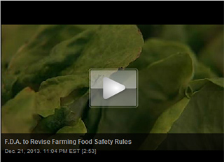 Mnet 133225 Food Safety Lead