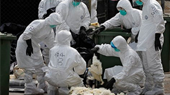 Mnet 133545 China Bird Flu Lead