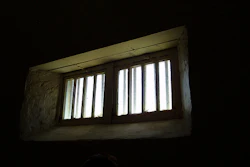 Mnet 28228 Prison Labor