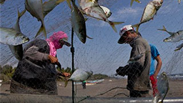 Mnet 133663 Mexico Fishing Lead