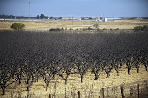 Mnet 32627 California Drought