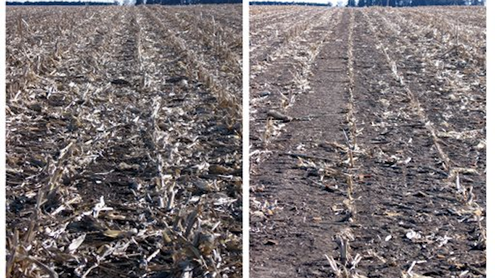 Mnet 117359 Corn Biofuel