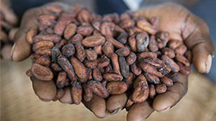 Mnet 135437 Cargill Cocoa Lead 0