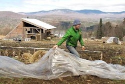 Mnet 163978 Gmo Food 0