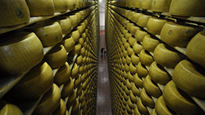 Mnet 135937 Cheesemakers Lead