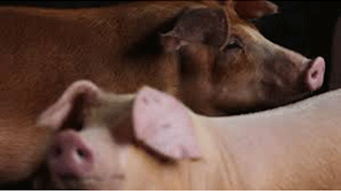 Mnet 136309 Pork Recall Lead