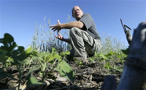 Mnet 34391 Farming