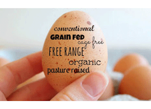 Mnet 136589 Egg Labels Lead