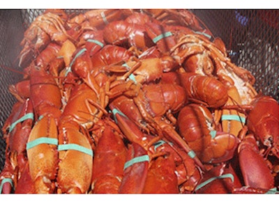 Mnet 136708 Maine Lobster Lead