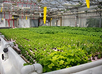 Mnet 136740 Aquaponics Lead