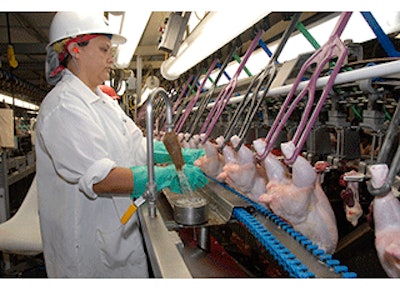 Mnet 137093 Poultry Inspection Lead