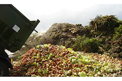 Mnet 137532 Food Waste Lead 2