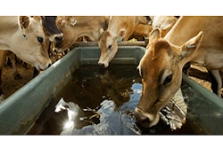 Mnet 137551 Animal Welfare Lead