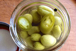 Mnet 137556 Craft Pickles Lead