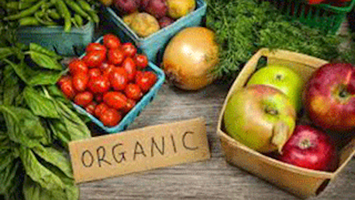 Mnet 137746 Organic Food Lead