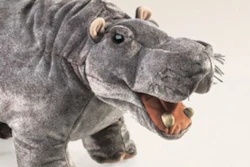 Mnet 183421 Hippo 0