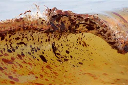 Mnet 118594 Oil Waves 0