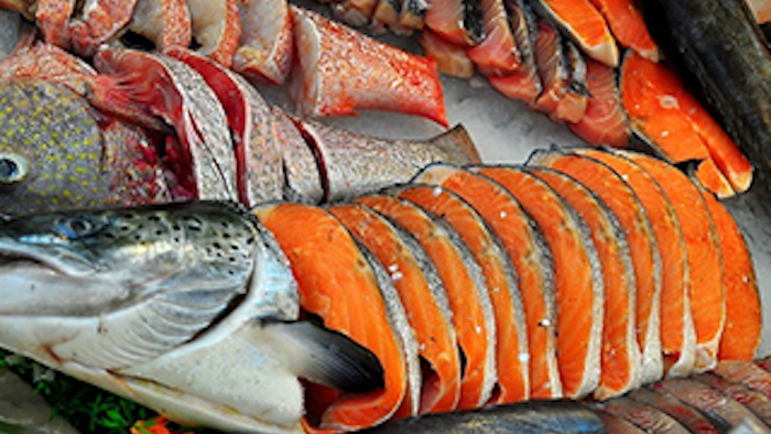 Mnet 137866 Alaska Salmon Lead