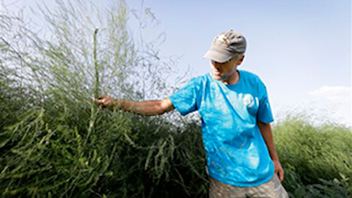 Mnet 137929 Pesticide Drift Lead