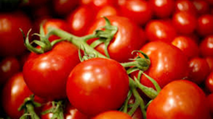 Mnet 138093 Tomato Recall Lead
