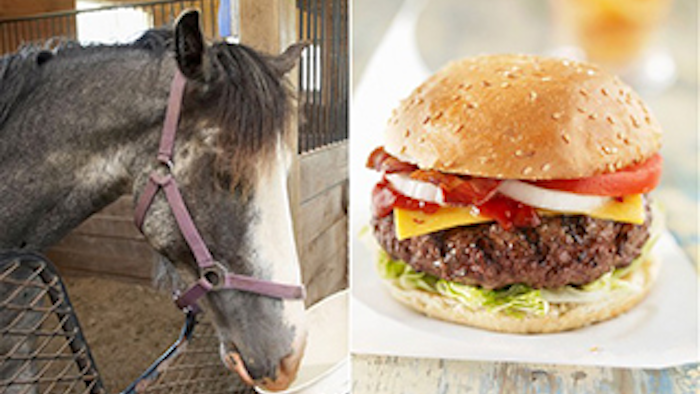 Mnet 138235 Horse Meat Lead
