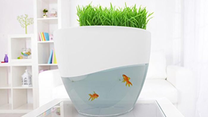 Mnet 138370 Fish Food Lead