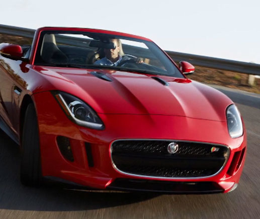 Mnet 183467 Jaguar 2