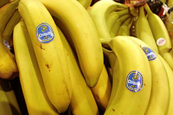 Mnet 183721 Chiquita Fyffes Minn 0