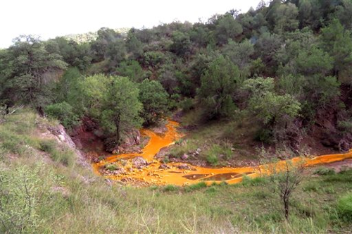 Mnet 118756 Orange Sludge