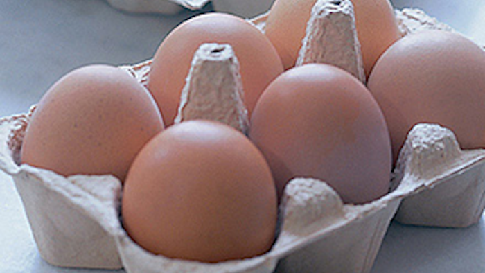 Mnet 138590 Egg Law Lead