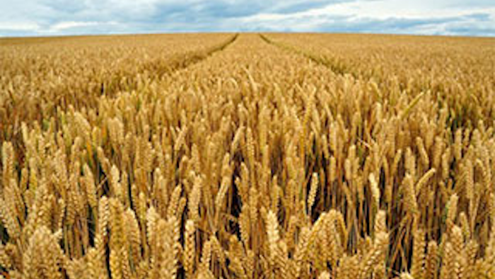 Mnet 139200 Monsanto Lead
