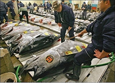 Mnet 139821 Bigeye Tuna Lead