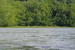 Mnet 38655 Holston River Below Cheroke 1