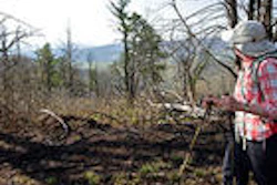 Mnet 38676 National Forest Frack Minn 0