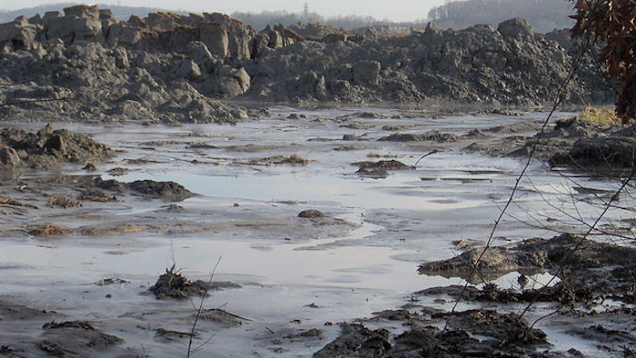 Mnet 119136 Coal Ash 0