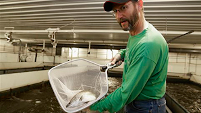 Mnet 140262 Midwest Fish Farm Lead