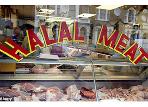 Mnet 140308 Halal Meat Lead