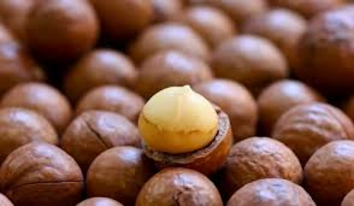 Mnet 140328 Maca Nuts