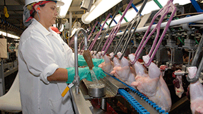 Mnet 140481 Poultry Inspection Lead 1