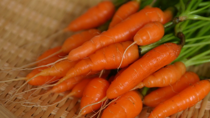 Mnet 119503 Baby Carrots 2 0